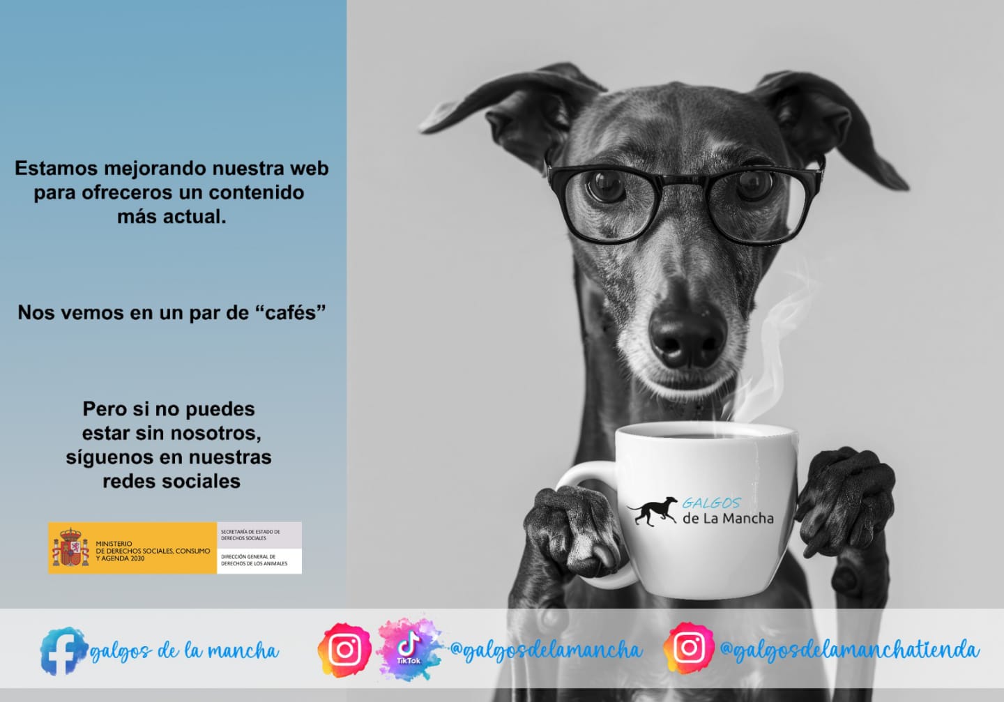 Nos vemos en un par de cafés